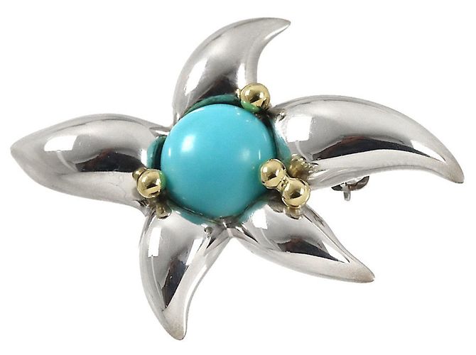 Elsa Peretti Broche Starfish Tiffany & Co.