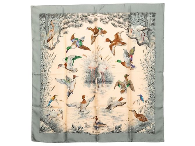 Hermès Sciarpa Hermes Carre 90 Halte en Camargue Marrone Crudo