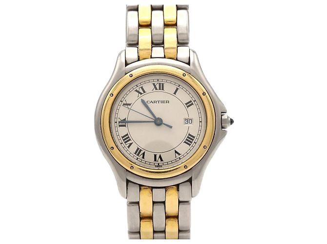 Relógio Cartier Panthère Cougar LM 2ROW W35006B6 Quartz