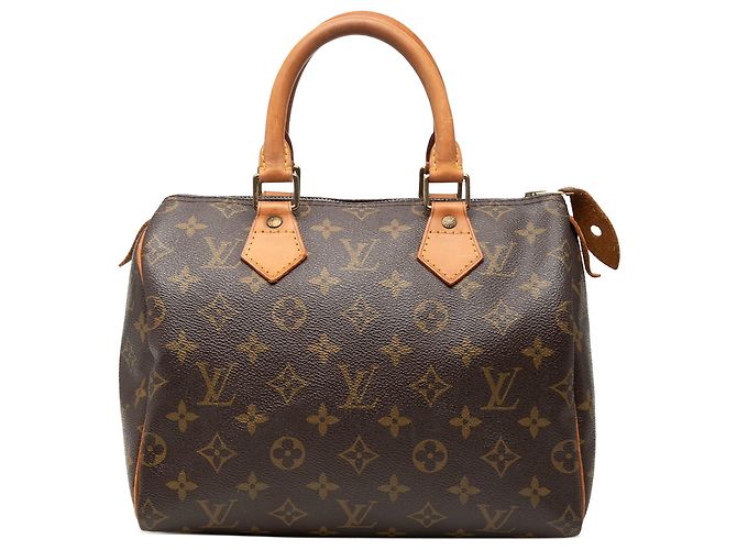 Louis Vuitton Marrone Monogram Speedy 25