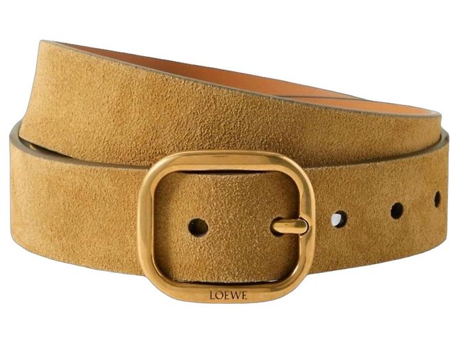 Loewe suede belt in Rusty GO color