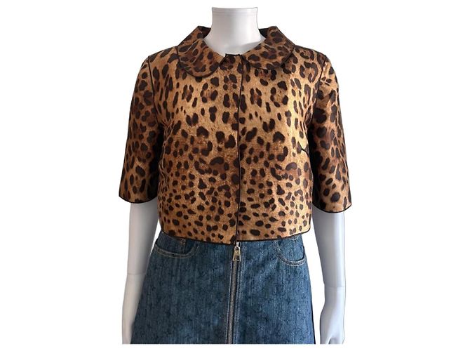 Dolce & Gabbana Leopard Print Cropped Jacket Brown
