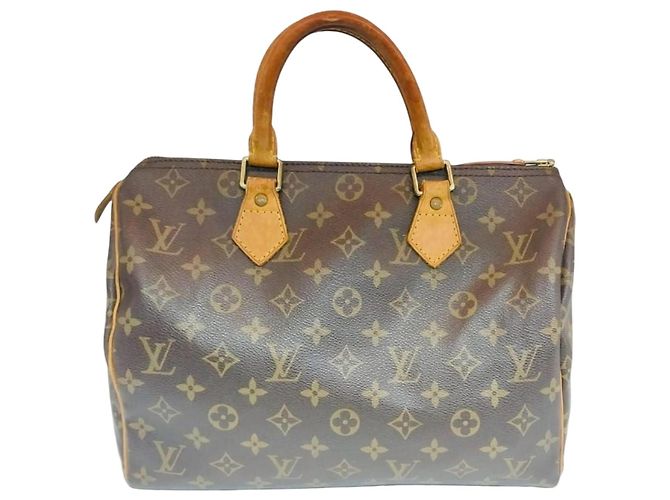 Louis Vuitton Sac cabas Monogram Speedy Marron