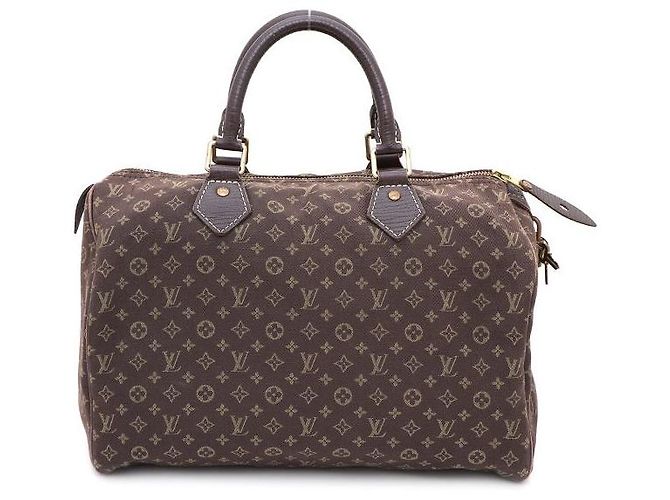 Louis Vuitton Monogram Mini Rinse Speedy Tote Bag Braun
