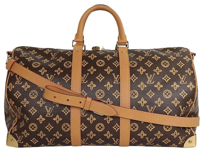 Louis Vuitton Keepall Trunk Braun