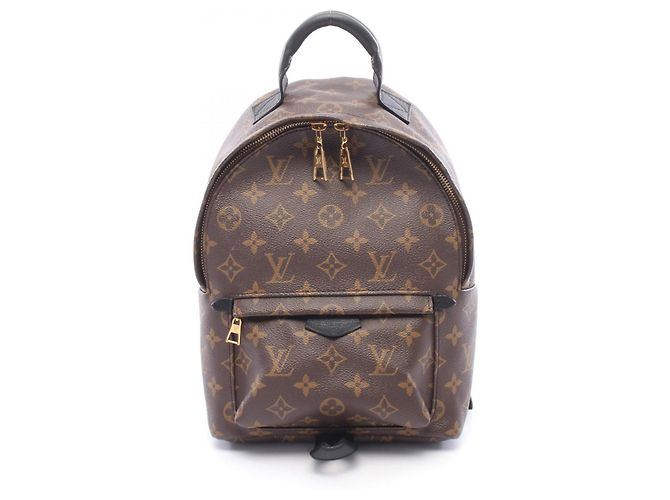 Sac à dos/Sac à main Louis Vuitton Palm Springs PM Marron Noir