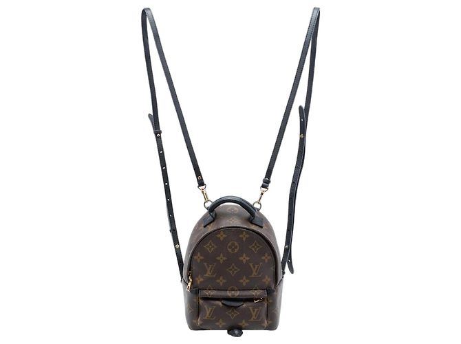 Louis Vuitton Brown Monogram Mini Palm Springs