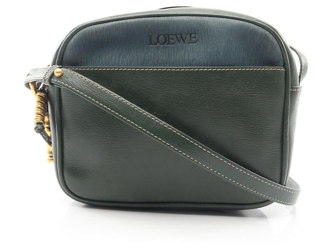 Bolsa de Ombro Loewe Velázquez Azul Verde