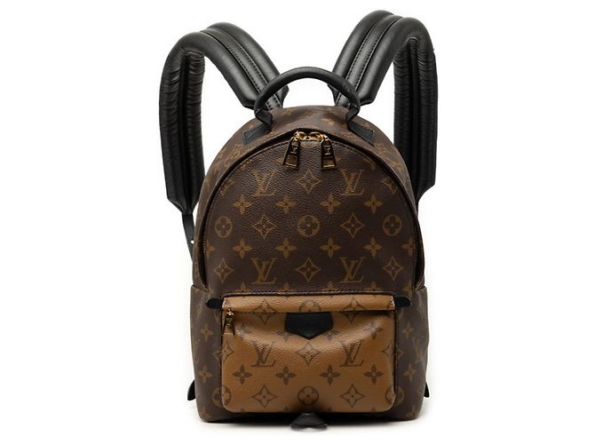Louis Vuitton Monogram Reverse Palm Springs Backpack Brown