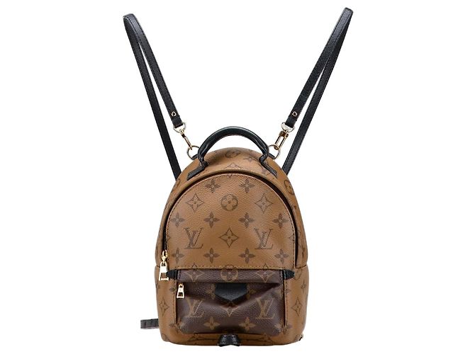Mini mochila Palm Springs Louis Vuitton Monogram Reverse Marrón Castaño