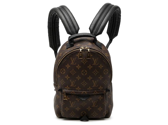 Brown Louis Vuitton Monogram Palm Springs PM Backpack