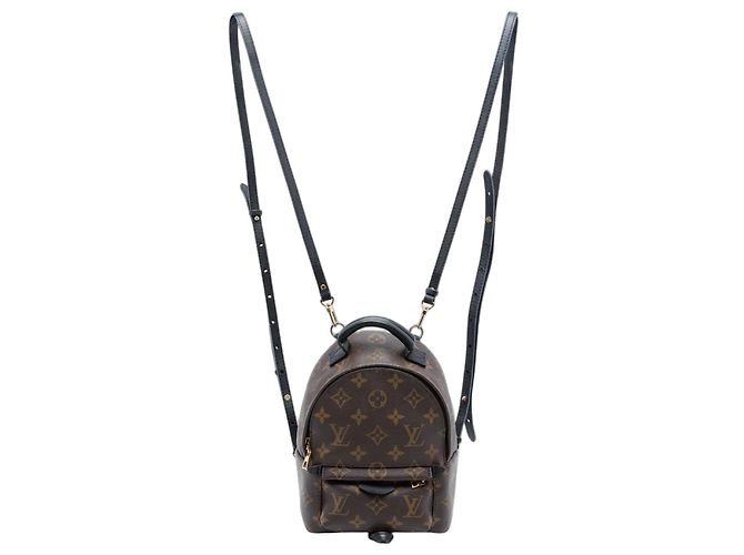 Brown Louis Vuitton Monogram Mini Palm Springs Backpack