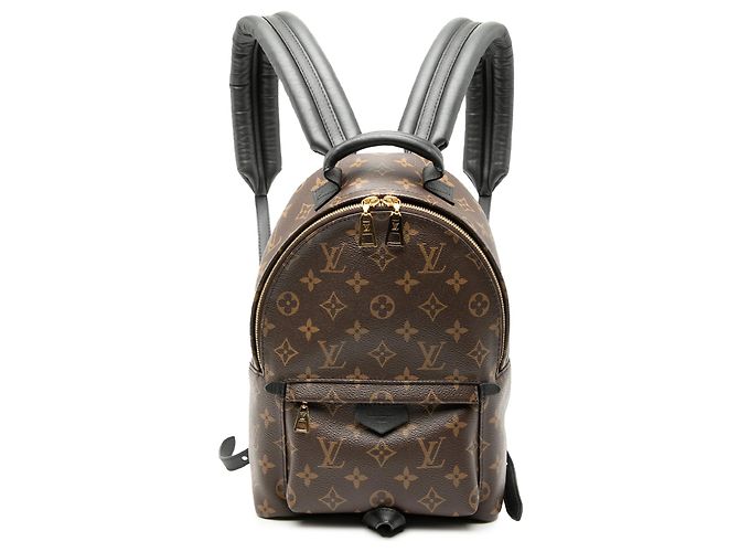 Brown Louis Vuitton Monogram Palm Springs PM Backpack