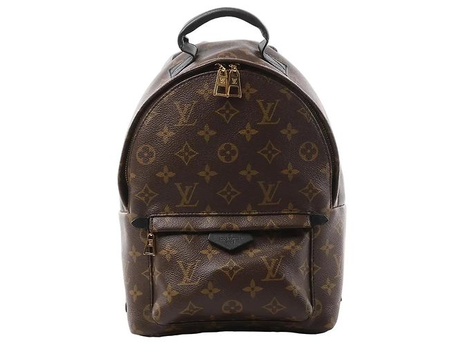 Louis Vuitton Palm Springs PM Monogram Rucksack Braun M41560