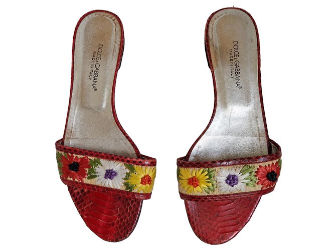 Dolce & Gabbana Python-Mules in Rot mit Blumen Mehrfarben 
