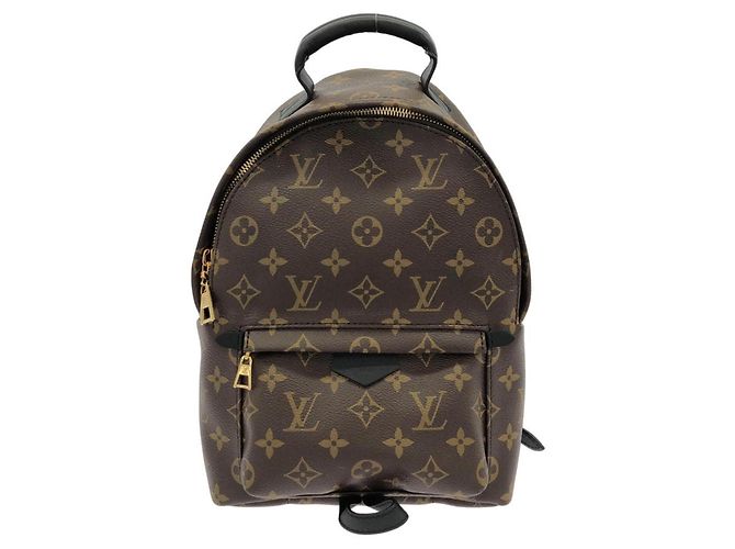 Mochila Louis Vuitton Monogram Palm Springs PM Marrom