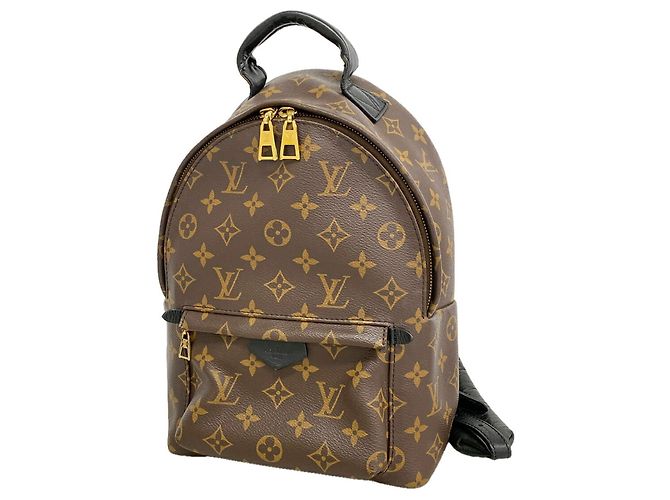 Louis Vuitton Monogram Palm Springs Backpack PM Brown