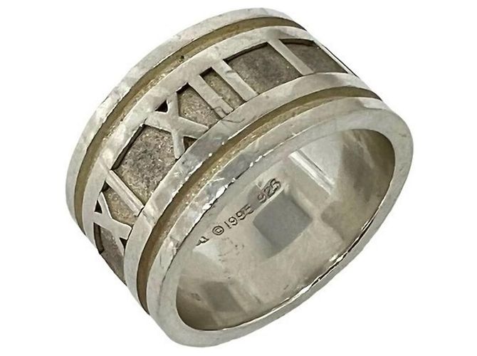 Tiffany & Co Tiffany Atlas Wide Band Ring Silvery