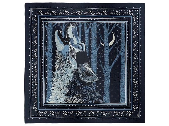 Hermès Sciarpa Bandana Blu 