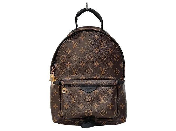 Louis Vuitton Palm Springs Backpack PM