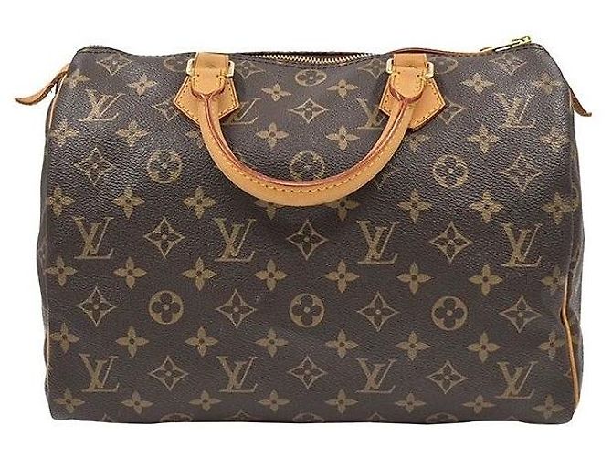 Louis Vuitton Speedy 30 Monogram Multicolore