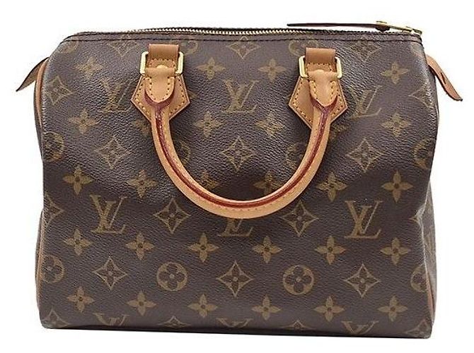 Louis Vuitton Monogram Speedy Multicolore
