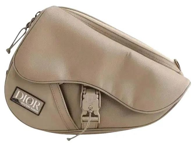 Dior Beige belt bag