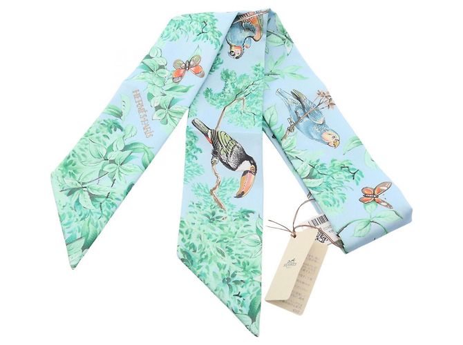 Hermès Twilly Equateur Hermes Blu Multicolore 
