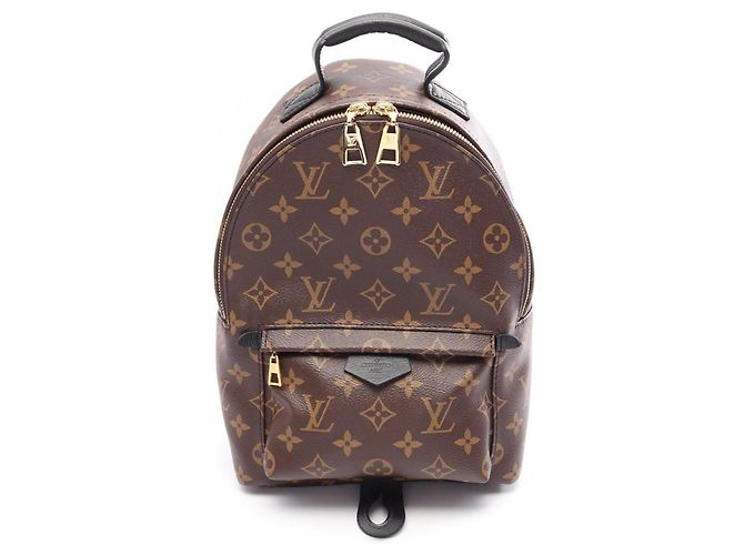 Louis Vuitton Palm Springs Rucksack PM Braun Schwarz Monogramm