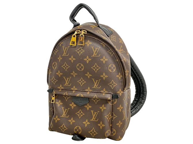 Louis Vuitton Monogram Palm Springs Backpack PM Brown