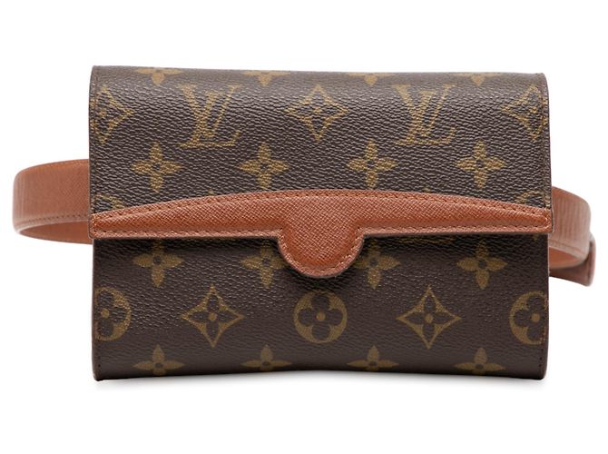 Louis Vuitton Brown Monogram Arche Castaño