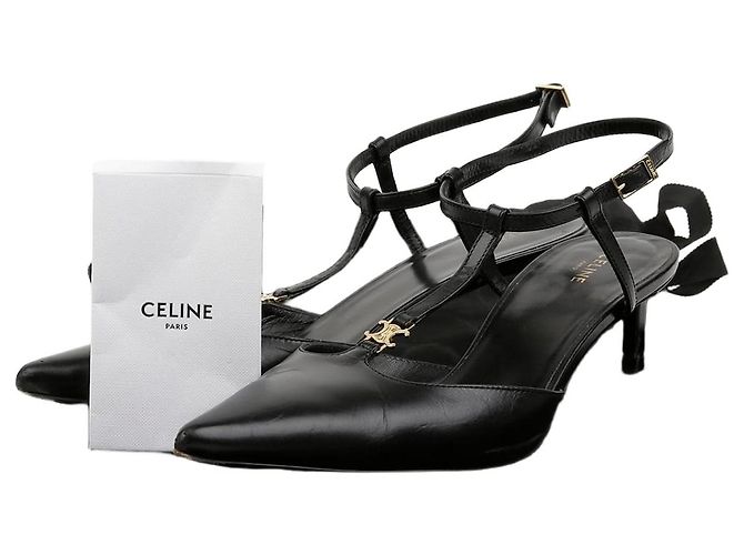 Céline Escarpins Triomphe Tiva Pumps Heels Multicolore