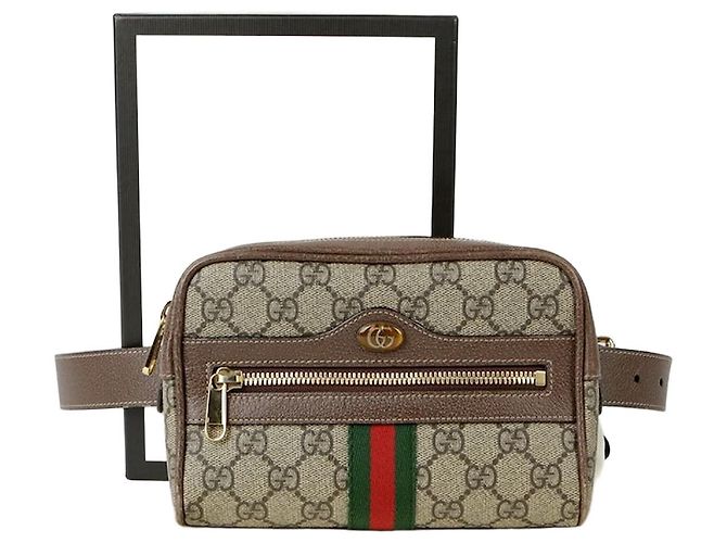 Gucci  mala de cintura Ophidia Multicor
