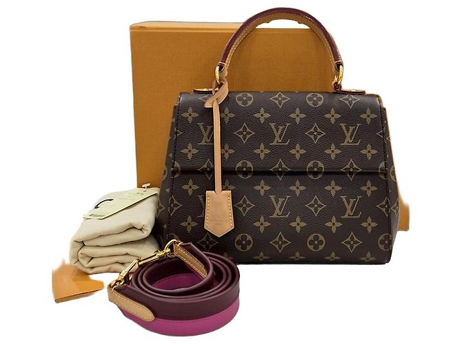 Louis Vuitton Borsa a tracolla Monogram Cluny BB Multicolore