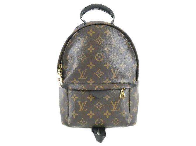 Mochila Louis Vuitton Monogram Palm Springs PM Marrom