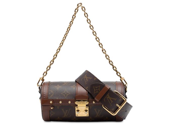 Louis Vuitton Brown Monogram Papillon Trunk Marron