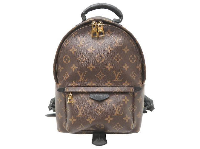 Louis Vuitton Palm Springs PM Women's Backpack Brown