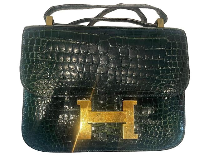 Sac à main Hermès Constance en cuir d'alligator vert