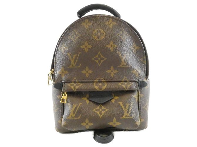 Louis Vuitton Monogram Palm Springs Backpack MINI Brown
