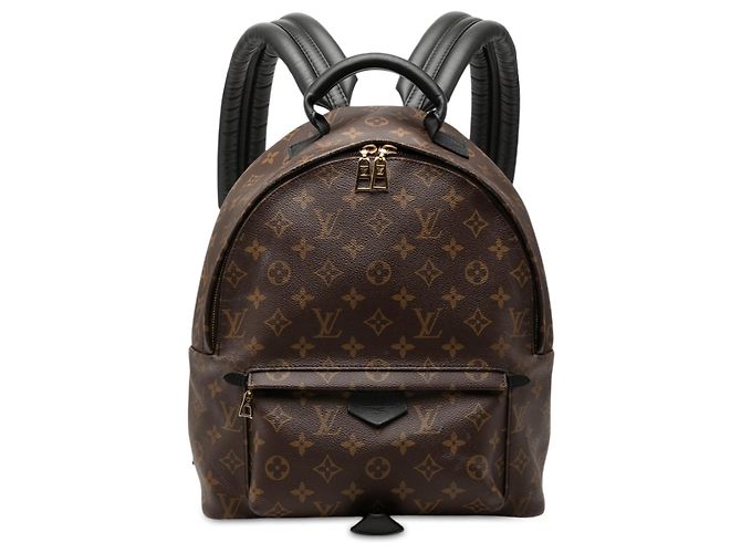 Louis Vuitton Brown Monogram Palm Springs MM Marrom
