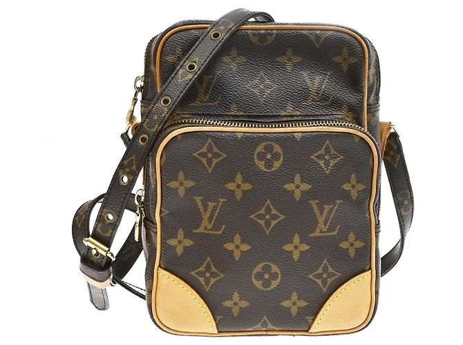 Louis Vuitton Amazone Leather PM Marron