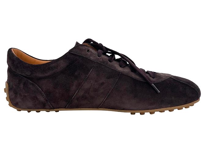Baskets basses Tod's en daim marron