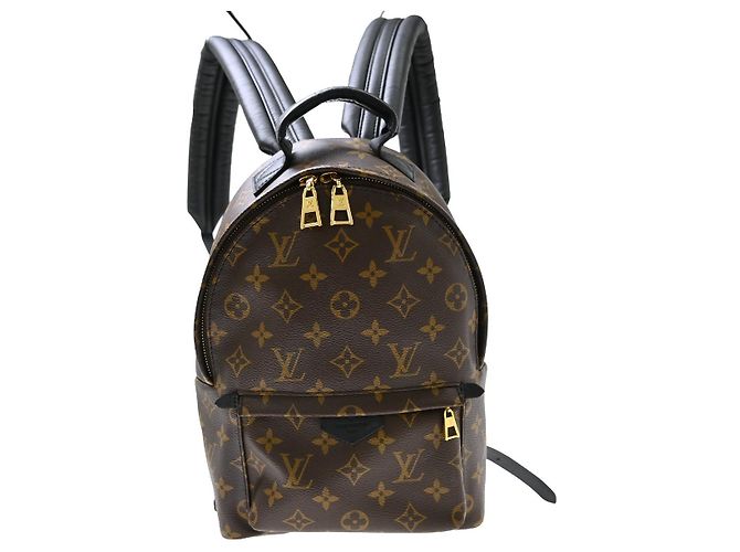 Louis Vuitton Palm Springs Monogram PM Marrom