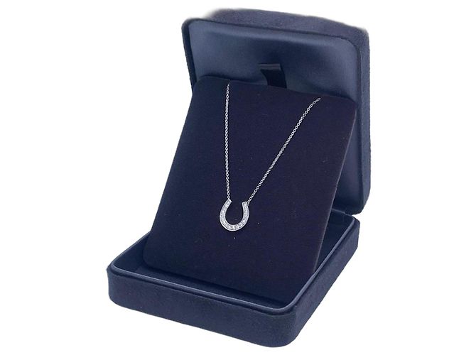 Tiffany & Co Halskette Tiffany Silber