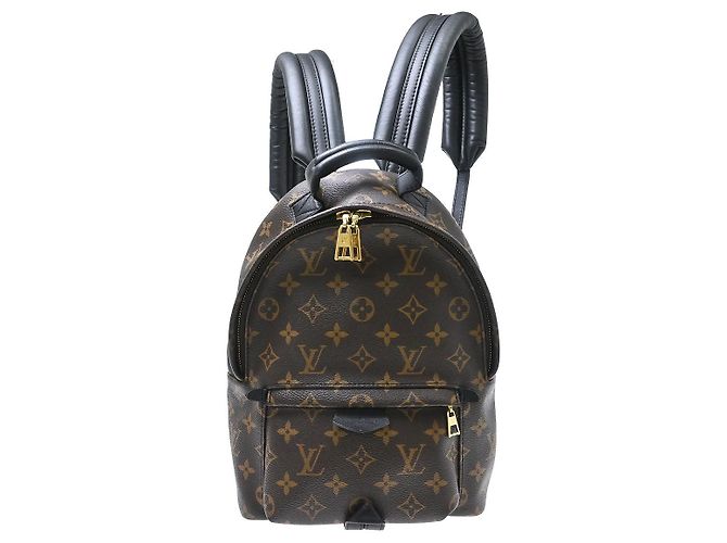 Louis Vuitton Palm Springs Monogram PM Marrom