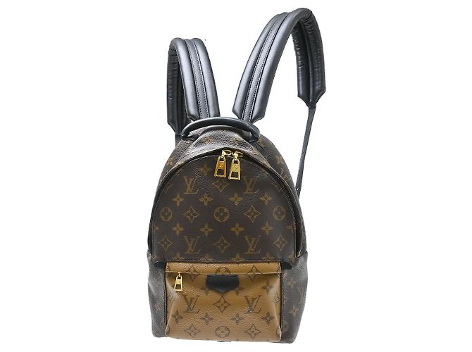 Louis Vuitton Palm Springs Monogram PM Marron