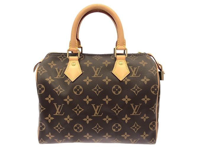 Speedy Borsa Boston Monogram Louis Vuitton Marrone