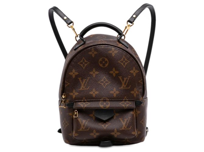 Louis Vuitton Brown Monogram Mini Palm Springs