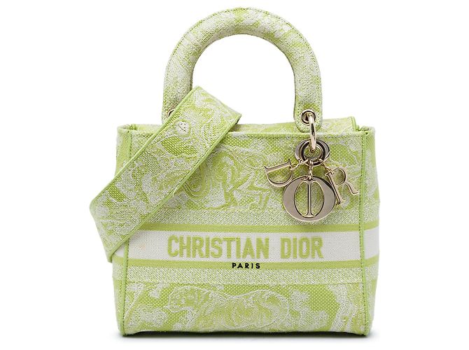 Dior Green Medium Embroidered Canvas Toile de Jouy Lady D Lite D'oro Verde