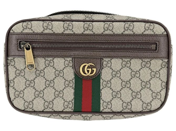 Borsa a tracolla Gucci Ophidia da uomo Marrone